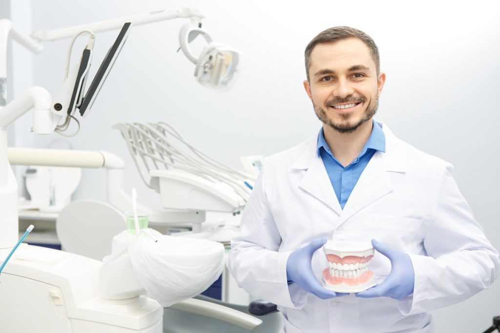 a dentist holding a 3D teeth model